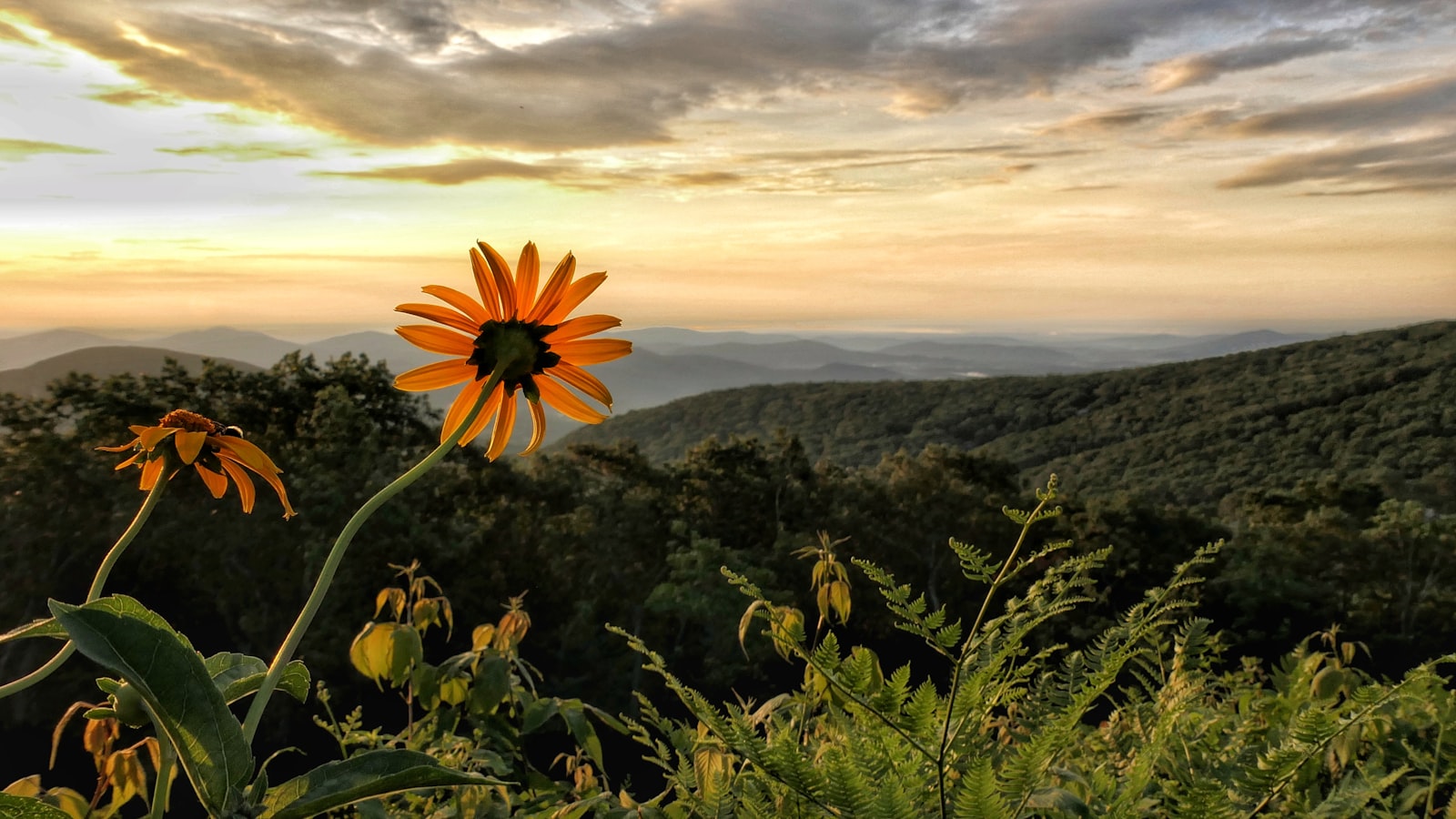 Lebensmotto - Sonnenaufgang über den Bergen als Sinnbild für Zuversicht